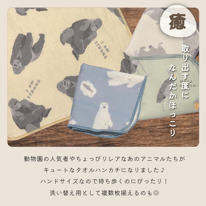 タオルハンカチ マヌルネコ ハシビロコウ ゴリラ シロクマ