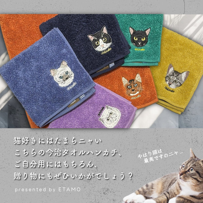 今治 タオルハンカチ 猫 サバトラ 黒猫 ハチワレ ラグドール ペルシャ ソマリ