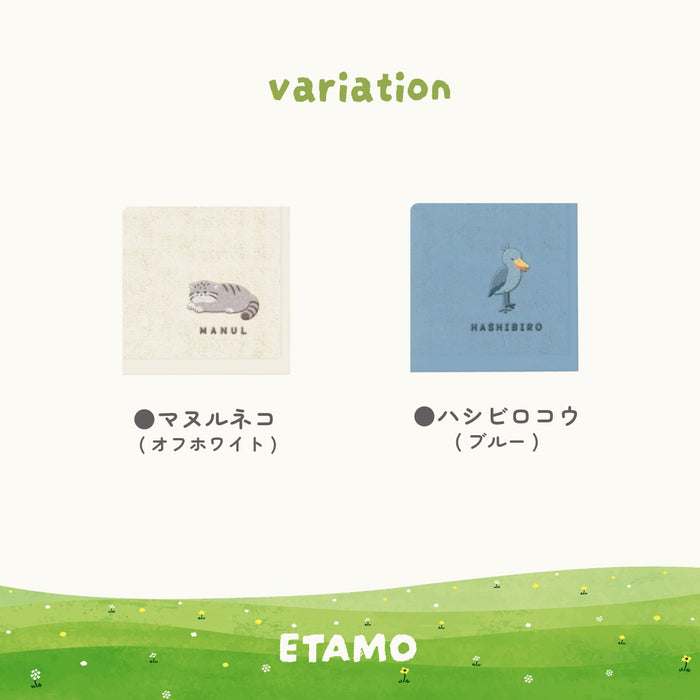 レアアニマル タオルハンカチ キーウィ ハシビロコウ マヌルネコ クオッカ