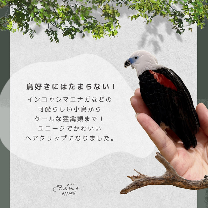鳥 ヘアクリップ バンス シマエナガ ハシビロコウ カラス ワシ インコ オオハシ