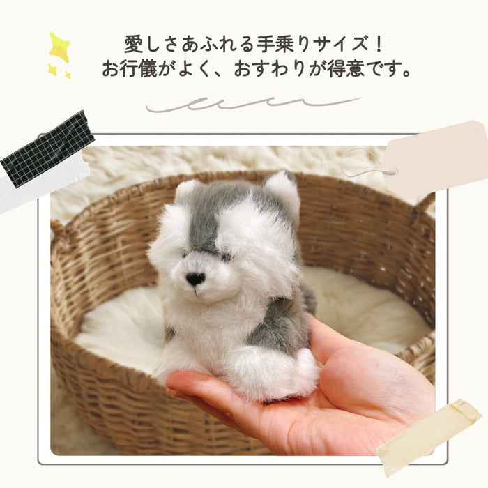 わたぽ 犬 ぬいぐるみ マスコット トイプードル ポメラニアン ビションフリーゼ シベリアンハスキー