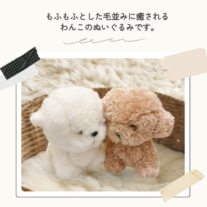 わたぽ 犬 ぬいぐるみ マスコット トイプードル ポメラニアン ビションフリーゼ シベリアンハスキー