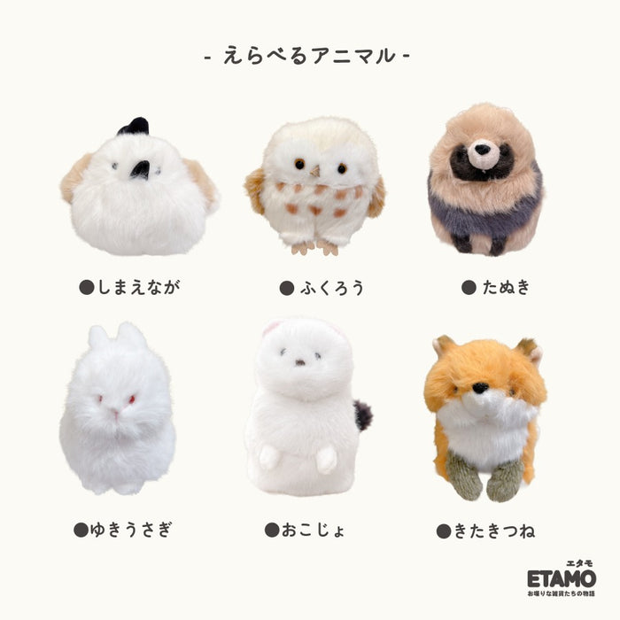 わたぽ 犬 ぬいぐるみ トイプードル ビションフリーゼ ハスキー 柴犬 シマエナガ うさぎ たぬき オコジョ