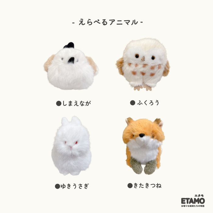 わたぽ 犬 動物 ぬいぐるみ マスコット トイプードル ポメラニアン