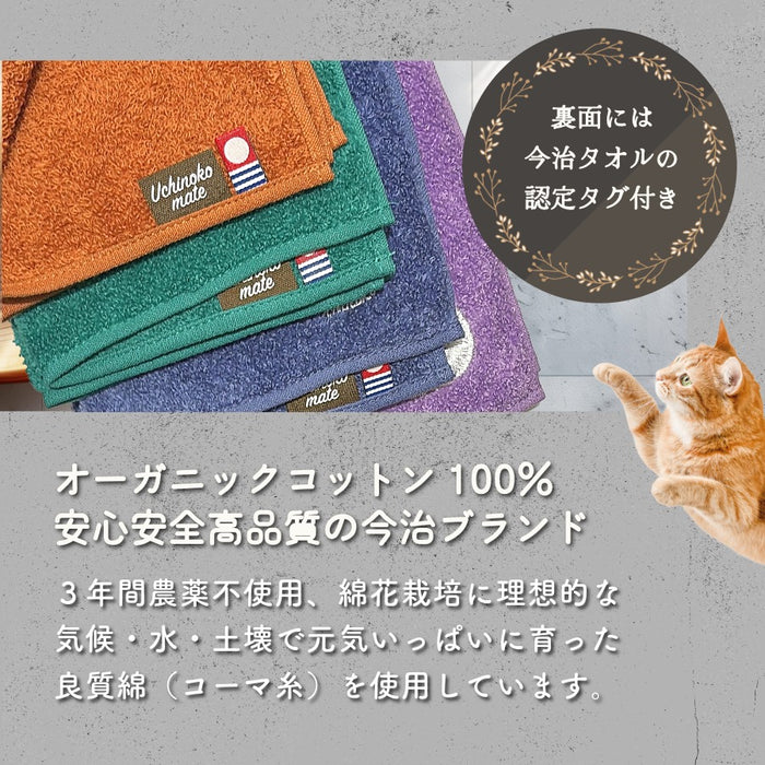 今治 タオルハンカチ 猫 サバトラ 黒猫 ハチワレ ラグドール ペルシャ ソマリ
