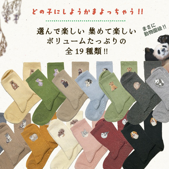 足もと動物園 クルー ソックス