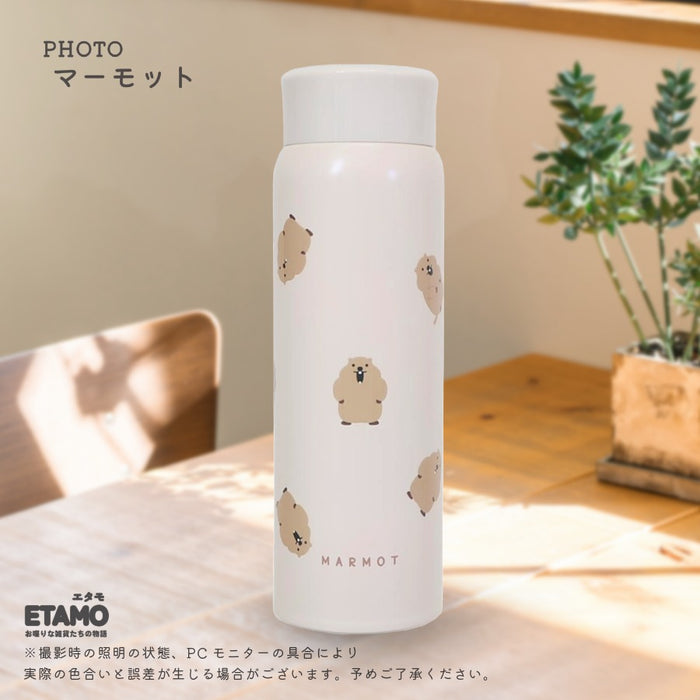 レアアニマル 保冷 保温 ステンレスボトル 480ml マヌルネコ ハシビロコウ ウォンバット マーモット