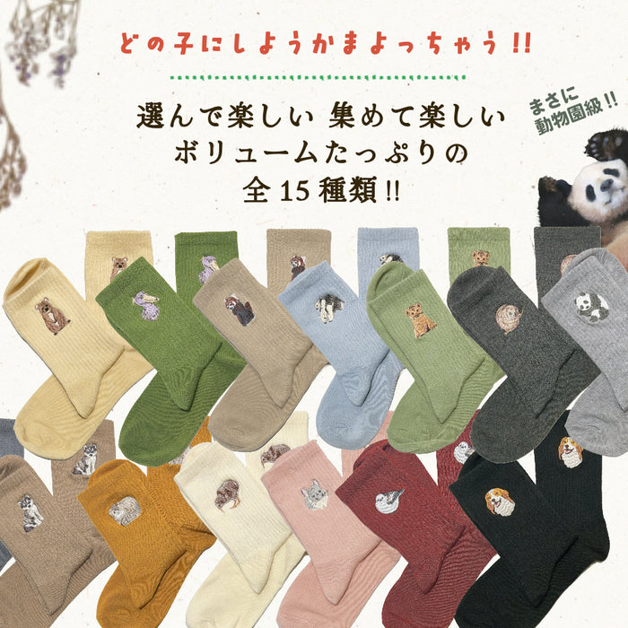 足もと動物園 クルー ソックス