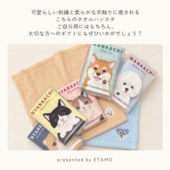 タオルハンカチ わんかち にゃんかち シバイヌ シュナウザー ビションフリーゼ ミケネコ マンチカン エキゾチック