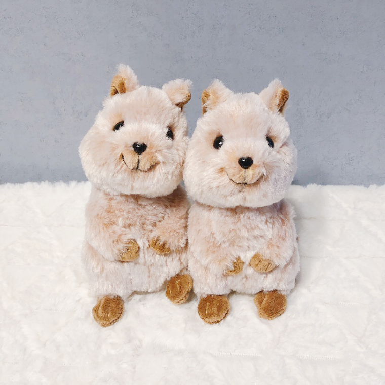 fluffies クオッカ ぬいぐるみ — Etamo