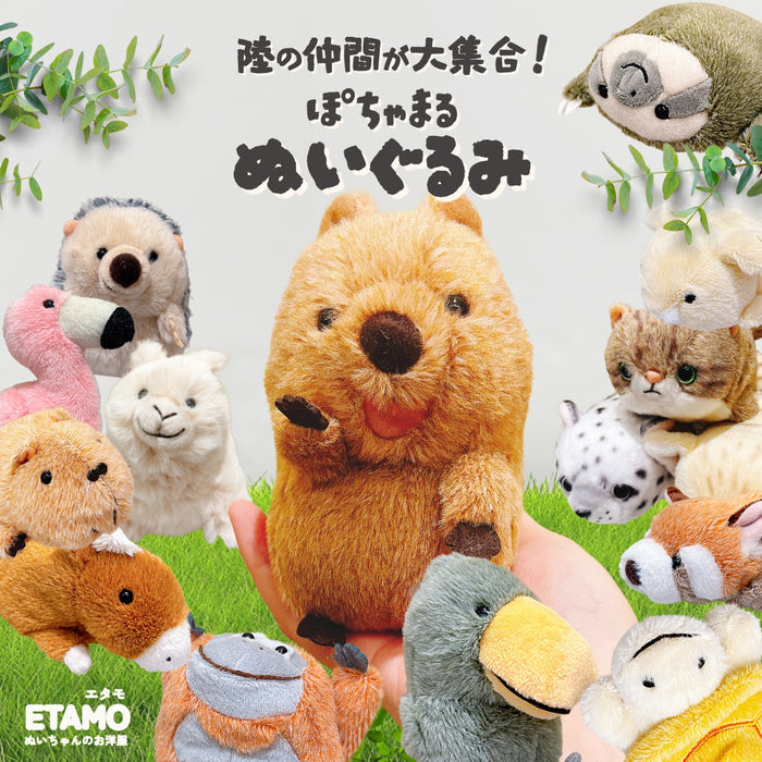 ぽちゃまる ぬいぐるみ 大陸散歩 クオッカ ハシビロコウ ナマケモノ カエル アルパカ 馬 ハリネズミ うさぎ カピバラ カメ フラミンゴ ヤマネコ スナネコ ユキヒョウ