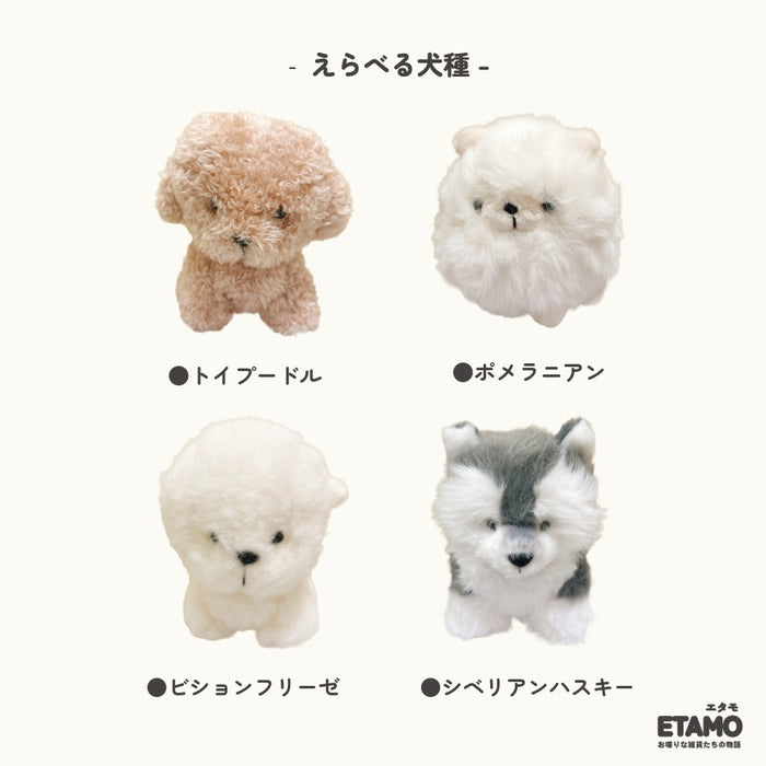 わたぽ 犬 ぬいぐるみ マスコット トイプードル ポメラニアン ビションフリーゼ シベリアンハスキー