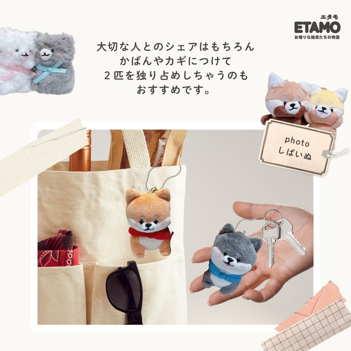 ニコぬい 海 アザラシ フグ