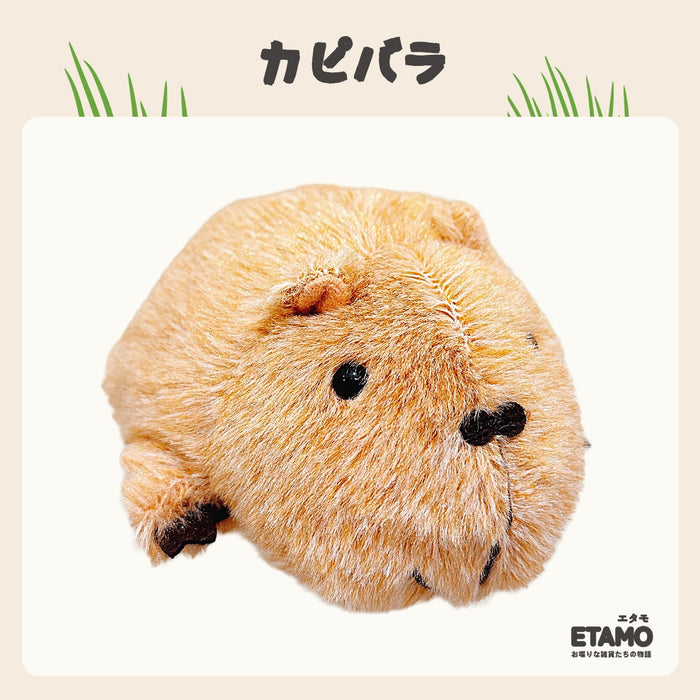 ぽちゃまる ぬいぐるみ 大陸散歩 クオッカ ハシビロコウ ナマケモノ カエル アルパカ 馬 ハリネズミ うさぎ カピバラ カメ フラミンゴ ヤマネコ スナネコ ユキヒョウ