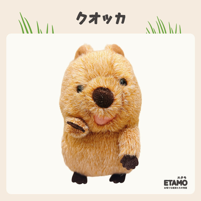 ぽちゃまる ぬいぐるみ 大陸散歩 クオッカ ハシビロコウ ナマケモノ カエル アルパカ 馬 ハリネズミ うさぎ カピバラ カメ フラミンゴ ヤマネコ スナネコ ユキヒョウ