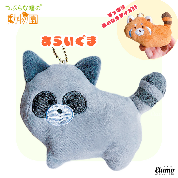 つぶらな瞳の動物園】ぬいぐるみマスコットキーチェーン【あらいぐま つぶらな瞳の動物園】ぬいぐるみマスコットキーチェーン【あらいぐま